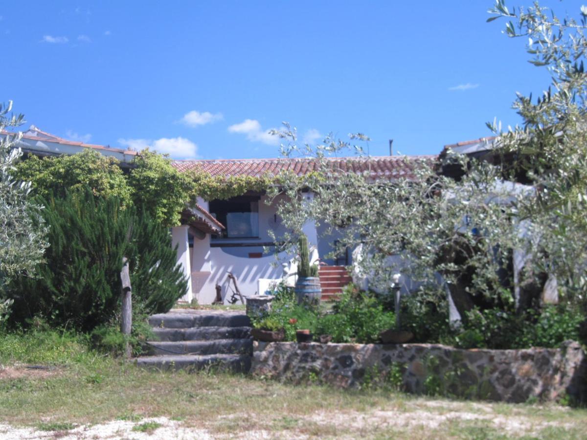 Tenuta Don Ballore กัลเตลลิ ภายนอก รูปภาพ
