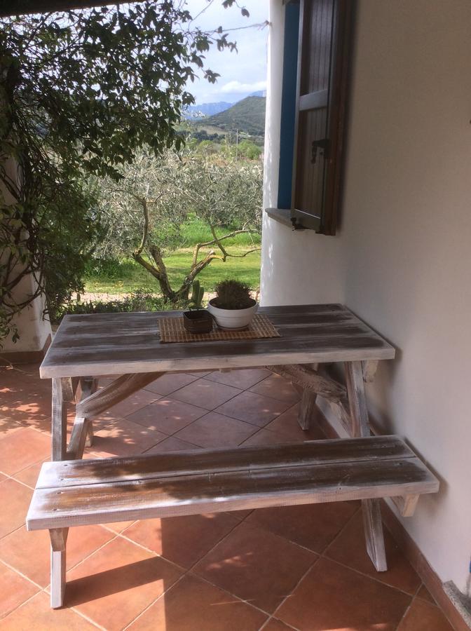 Tenuta Don Ballore กัลเตลลิ ภายนอก รูปภาพ